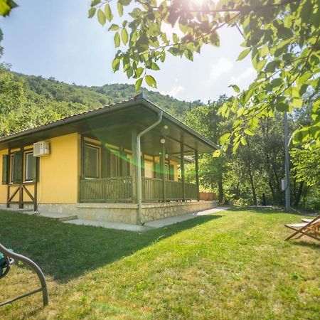 Vila Camelia Ґолубац Екстер'єр фото